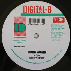 Micky Spice* – Born Again (Vinyl, 12")