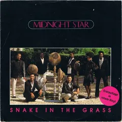 Midnight Star – Snake In The Grass (Vinyl, 7")