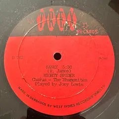 Mighty Spider Trex Records – Sanke (Vinyl, 12")
