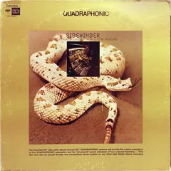 Morton Subotnick – Sidewinder (Vinyl, LP)