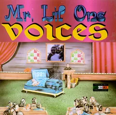 Mr. Lil One* – Voices (CD, Album)