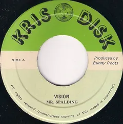 Mr. Spalding* – Vision (Vinyl, 7")
