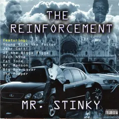 Mr. Stinky – The Reinforcement (CD, Album)