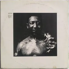 Muddy Waters – After The Rain (Vinyl, LP)