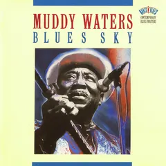Muddy Waters Columbia – Blues Sky (CD, Compilation)