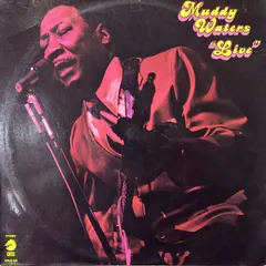 Muddy Waters – Live (Vinyl, LP)