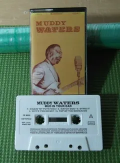 Muddy Waters – Mud In Your Ear (Cassette, Album)