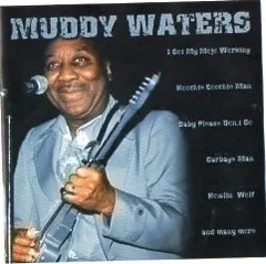 Muddy Waters First Budget International – Muddy Waters (CD, Compilation)