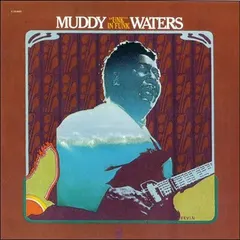 Muddy Waters – "Unk" In Funk (Vinyl, LP)