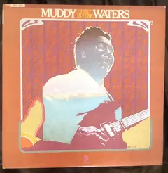 Muddy Waters Chess – "Unk" In Funk (Vinyl, LP)