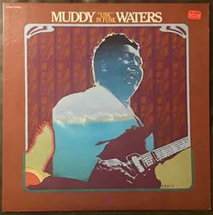 Muddy Waters – "Unk" In Funk (Vinyl, LP)
