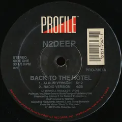 N2DEEP – Back To The Hotel (Vinyl, 12")