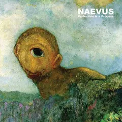 Naevus – Perfection Is A Process (CD, Album)