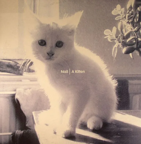 Nail* – A Kitten