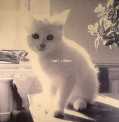 Nail* – A Kitten (Vinyl, 12")