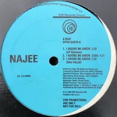 Najee – I Adore Mi Amor (Vinyl, 12")