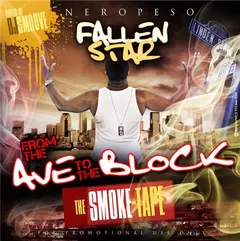 NeroPeso – FALLEN STAR (CD, Promo)