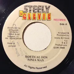 Ninja Man* – Hortical Don (Vinyl, 7")