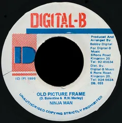 Ninja Man* – Old Picture Frame (Vinyl, 7")