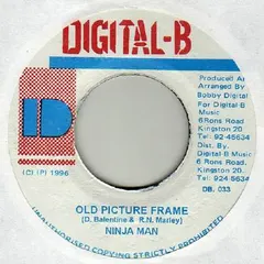 Ninja Man* Digital-B – Old Picture Frame (Vinyl, 7")