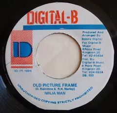 Ninjaman – Old Picture Frame (Vinyl, 7")