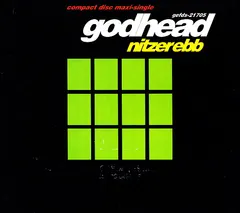 Nitzer Ebb – Godhead (CD, Maxi-Single)