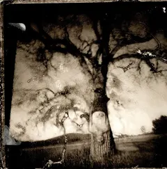 No Motiv – Daylight Breaking (CD, Album)