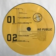 No Public – Got 2 Learn (Vinyl, 12")