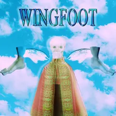 Noah23 – Wingfoot (CDr, Album)