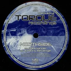 Northside – Salamander (Vinyl, 12")