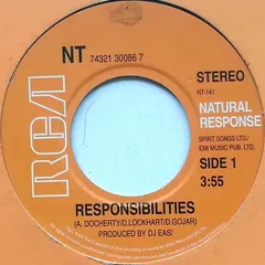 NT (2) – Responsibilities (Vinyl, 7")