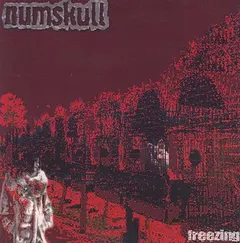 Numskull – Freezing (CD, EP)