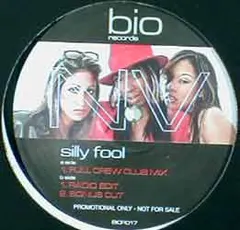 NV (22) – Silly Fool (Vinyl, 12")
