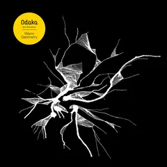 Odaka – Warm Geometry (Vinyl, 12")