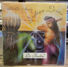 Papa Andy – Indian Lover (Vinyl, 12")