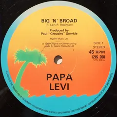 Papa Levi – Big 'N' Broad (Vinyl, 12")