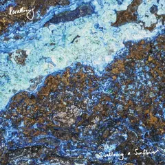 Parading – Swallowing A Sunflower (Vinyl, LP)