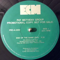 Pat Metheny Group – The First Circle (Vinyl, 12")