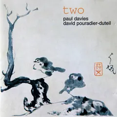Paul Davies (6), David Pouradier-Duteil* – Two (File, FLAC)