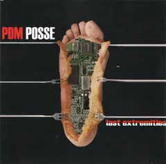 PDM Posse – Last Extremities (CD, Album)