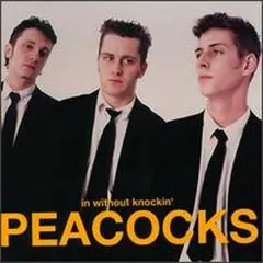 Peacocks – In Without Knockin' (CD, Album)