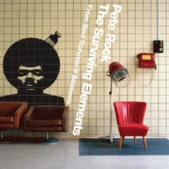 Pete Rock – The Surviving Elements (CD, Album)
