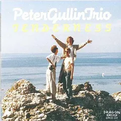 Peter Gullin Trio – Tenderness (CD, Album)