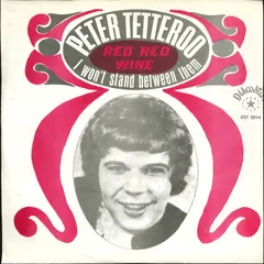 Peter Tetteroo Discostar – Red Red Wine (Vinyl, 7")