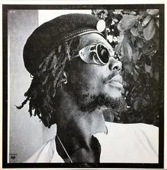 Peter Tosh – Get Up, Stand Up (Vinyl, 12")