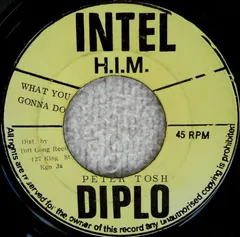 Peter Tosh – What You Gonna Do / Version (Vinyl, 7")