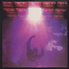 Petra (9) – Beat The System (Vinyl, LP)