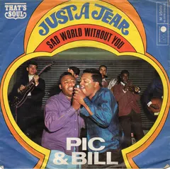 Pic & Bill* – Just A Tear (Vinyl, 7")