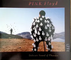 Pink Floyd – Delicate Sound Of Thunder (CD, Album)
