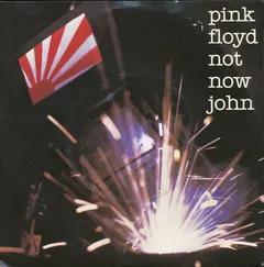 Pink Floyd – Not Now John (Vinyl, 7")